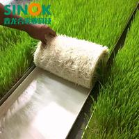 Serre conteneurisée Sinok 500 kg/jour, système hydroponique entièrement automatique pour fourrage et herbe, conteneur maritime intelligent de 20 pieds