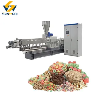 400kg/h Corn Flakes Production Line Breakfast Cereal Oat Making Machine Maize Fakes Manufacturing Machinery Twin Screw Extruder