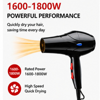 Sèche-cheveux professionnel de salon haute vitesse à batterie rechargeable AC 1600-1800W, kit de beauté multifonctionnel pour hôtel