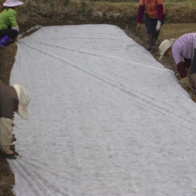 C For Agricultural Orchards Planted Fruit Trees