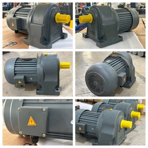 Motorreductores Agrícolas <span class=keywords><strong>Pequeños</strong></span> <span class=keywords><strong>de</strong></span> 2200W, Serie G, Diámetro del Eje <span class=keywords><strong>de</strong></span> 50mm, Disposición <span class=keywords><strong>de</strong></span> Engranajes Helicoidales - Product Image 6