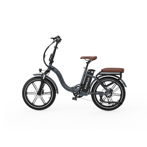 Vélo électrique de ville KOOLUX X16 250W pour adultes, batterie lithium 15.6Ah 48V, porte-bagages arrière, 7 vitesses, pneus larges, stock UE. - Product Image 1