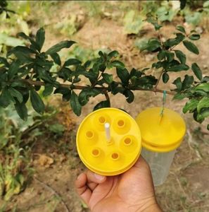 Piège à mouches à suspendre réutilisable pour l'extérieur avec recharge d'appât <span class=keywords><strong>naturel</strong></span> Piège à mouches réutilisable tueur <span class=keywords><strong>attrape</strong></span>-mouches pour l'extérieur - Product Image 2