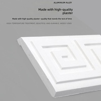 Fournisseur de lignes de plafonds en plâtre haut de gamme pour l'installation au plafond, design contemporain, support technique en ligne, divers modèles