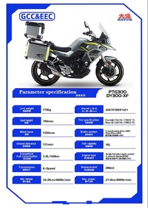 Motocicleta <span class=keywords><strong>Dayun</strong></span> de 300cc con Motor Edf, Motocicleta Todoterreno - Product Image 6