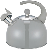 2.5L usage domestique en acier inoxydable sifflement thé bouilloire bakélite poignée Induction fond résistant à la chaleur métal plastique verre matériel 3L