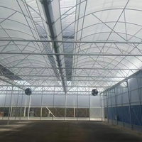 Serre Multispan à bas prix pour légumes Serre personnalisée Serre agricole rentable de qualité supérieure à vendre