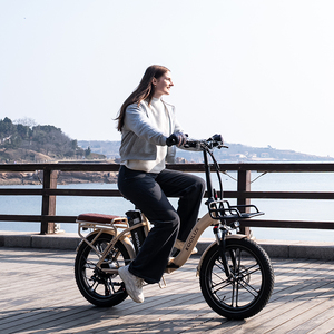 Koolux X16 Foldable Adult Bike 20inch Fat Tire 7 Speed 48v 250w Lithium Battery Brushed Rear Hub Motor Long Range X16 Koolux X1 - Product Image 3