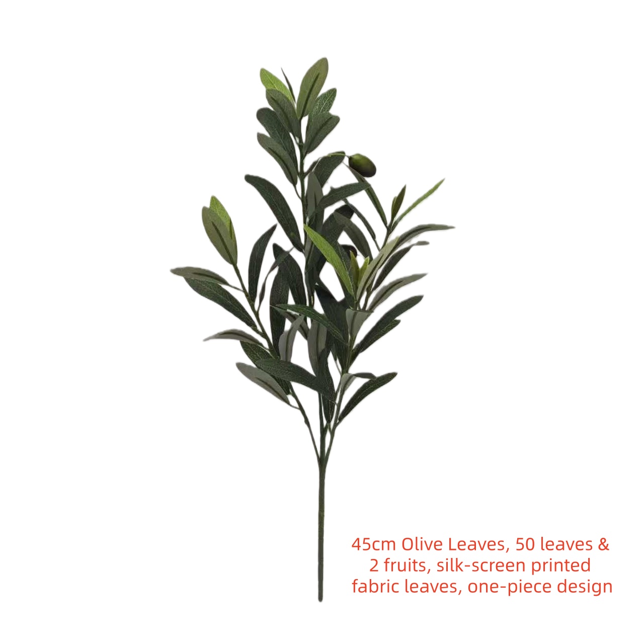 45 cm/18 pouces 50 feuilles 2 fruits