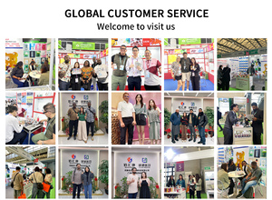 Gélules d'ail de haute qualité sans odeur, extrait d'ail vieilli, 300 gélules molles - Product Image 6