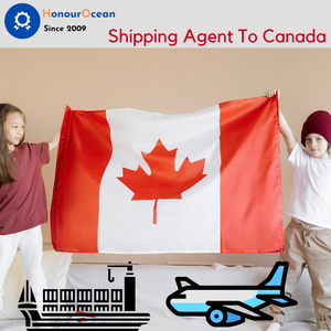 Agente de transporte global China Shenzhen Almacén a Canadá DDP Sea Air DHL UPS FedEx Express Puerta a puerta - Product Image 2