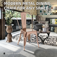 Chaise de salle à manger moderne en fer pour usage domestique et extérieur, idéale pour appartements, villas, gymnases, parcs et jardins