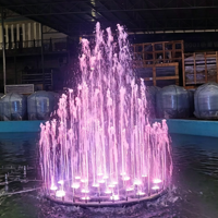 Fontaine musicale circulaire pour piscine, petite fontaine d'eau dansante avec lumière pour cour familiale