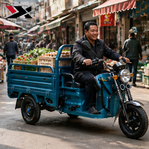 Tricycle motorisé à trois roues, moto à trois roues, capacité supérieure à 40 km/h, système de suspension, ETW 48V/60V 800W, tricycle à 3 roues - Product Image 5