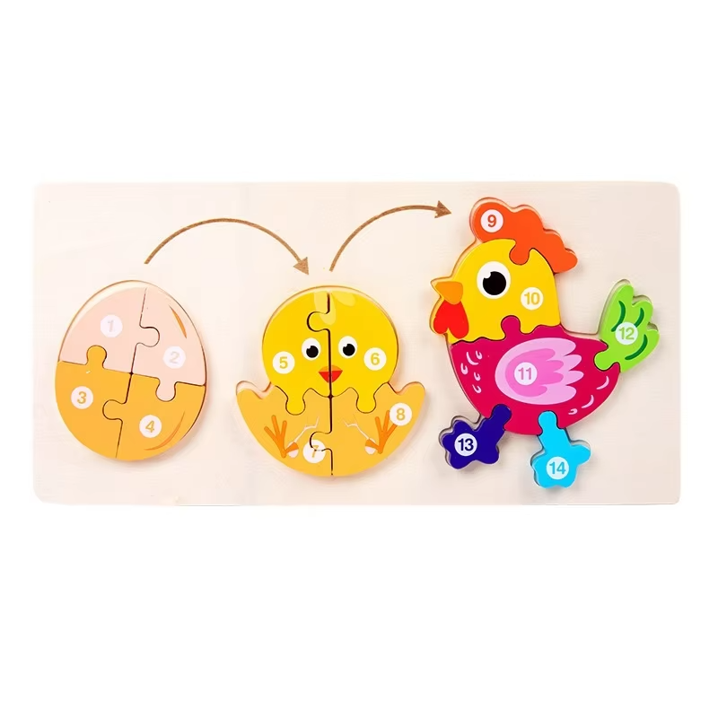 Puzzle tridimensionale di pollo in crescita