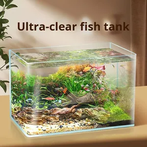 曲線状のアクリル製密閉型水槽、リビングルーム用小型卓上水槽、金魚水景、長方形の生態系水槽（裸水槽） - Product Image 4