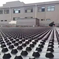 Planche géocomposite de drainage avec couche filtrante en géotextile non tissé, feuille alvéolée en HDPE pour système de drainage des eaux souterraines