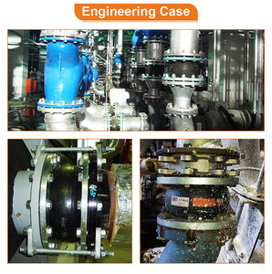 Erv-G.80.16.150 10 <span class=keywords><strong>Inch</strong></span> Dn80 Dn100 Kẹp Ống Thổi Mềm Cao Su Dẻo Din Ptfe Cấp Thực Phẩm Đầu Nối Mở Rộng Cao Su Kép - Product Image 6