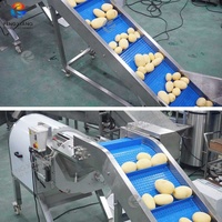1000kg/uur RVS-pomp aardappelwas-, schil- en snijmachine voor groenteverwerkingslijn