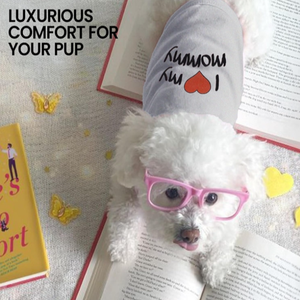 Camiseta <span class=keywords><strong>de</strong></span> algodón 100% <span class=keywords><strong>para</strong></span> <span class=keywords><strong>perros</strong></span> bordada 'Classy Sassy Bit Bossy' lavable a máquina lindo <span class=keywords><strong>chaleco</strong></span> <span class=keywords><strong>para</strong></span> mascotas <span class=keywords><strong>para</strong></span> <span class=keywords><strong>perros</strong></span> grandes ropa rosa <span class=keywords><strong>para</strong></span> <span class=keywords><strong>perros</strong></span> - Product Image 5