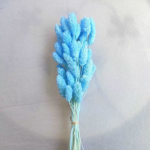 Hierba de <span class=keywords><strong>Phalaris</strong></span> Seca de Alta Calidad al por Mayor para Decoración del Hogar, Manualidades y Bodas - Product Image 4