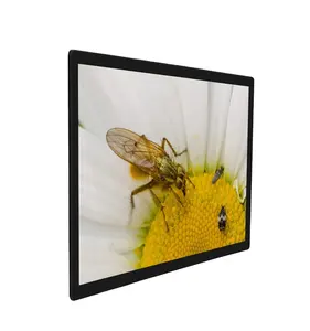 49 Inch Wall-mounted 1920*1080 2K Or 3840*2160 4K Android Or Windows Display Advertising Lcd Screen Digital Signage