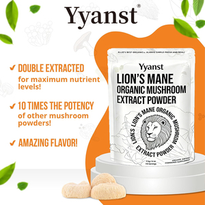 Extrait de Crinière de Lion de Haute Qualité sous Marque Blanche & Extrait de Champignon en Poudre à Action Rapide & Effet Durable pour une Relaxation Accrue - Product Image 2