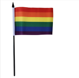 Bán buôn tiến bộ nhỏ niềm tự hào Cờ Tay vẫy tay Polyester cầu vồng LGBT với nhựa hoặc gỗ cực để hiển thị - Product Image 5