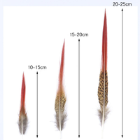 Vente en gros de queues de faisan doré naturel de 5 à 25 cm Plumes à pointe rouge pour coiffure de carnaval Artisanat Costumes de danse