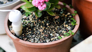 ชุดให้น้ำหยดอัตโนมัติ,ชุดชลประทานแบบหยดดอกไม้ในร่มสำหรับวันหยุด2ชิ้น - Product Image 5