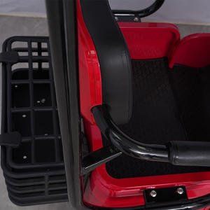 Triciclo Eléctrico Holladay de Alta Calidad, Más Vendido, <span class=keywords><strong>Scooter</strong></span> Eléctrico <span class=keywords><strong>para</strong></span> Adultos de 500W 60V con Diseño de Carrocería Abierta <span class=keywords><strong>para</strong></span> Familia y Carga - Product Image 5