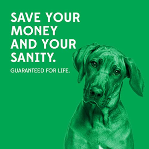 ไม้กัดสำหรับฝึกสุนัขมืออาชีพ วัสดุ EVA ผลิตตามสั่งจากโรงงาน ขายส่ง ของเล่นเคี้ยวสำหรับสัตว์เลี้ยง ทนทานต่อการกัด เป็นมิตรกับสิ่งแวดล้อม - Product Image 5