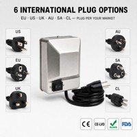 Kit de rôtissoire électrique pour barbecue, avec moteur et tige de rôtissage, pour poulet entier, accessoire pour grillades en extérieur et fêtes