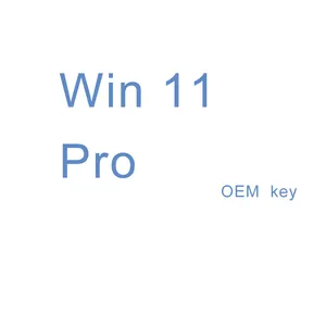 Win 11 Pro OEM Key en ligne 1PC 100% Fonctionnement Envoyer par Alichat Email Livraison instantanée