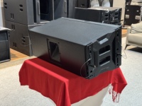 Haut-parleur professionnel à double ligne de 10 pouces, passif, aimant néodyme, coque en bois, impédance 8 ohms, 600 W, pour concerts en plein air