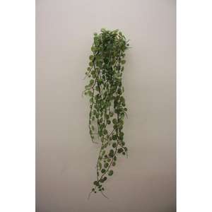 VERDE CADENTE GR - Product Image 1