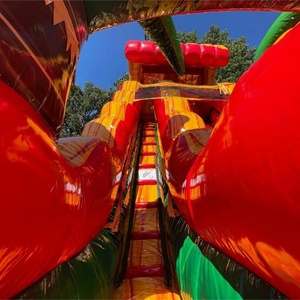 Tobogán acuático inflable comercial del patio trasero <span class=keywords><strong>de</strong></span> la venta caliente <span class=keywords><strong>para</strong></span> la fiesta <span class=keywords><strong>de</strong></span> los niños - Product Image 5