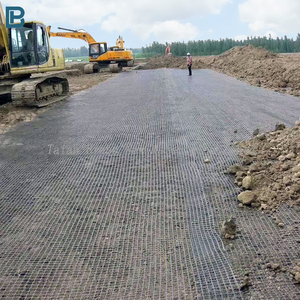 Chất lượng cao nhựa <span class=keywords><strong>PP</strong></span> HDPE hai trục <span class=keywords><strong>geogrid</strong></span> cho xây dựng đường giá tốt nhất sợi thủy tinh và vật liệu <span class=keywords><strong>Polyester</strong></span> Sản xuất tại Trung Quốc - Product Image 1