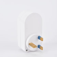 16A 220V AC Einphasiger Kupfer-Materialstromschutz-Steckdosenadapter mit Über- und Unterspannungsschutz für Haushaltsgeräte 50Hz