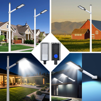Lampu Jalan LED Ekonomis untuk Luar Ruangan IP66 dengan Lensa SMD, Housing Aluminium 20W~300W, Harga Lampu Jalan LED