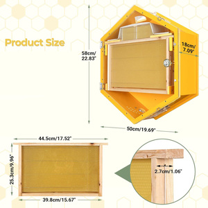 Kit de inicio de <span class=keywords><strong>colmena</strong></span> de observación de apicultura <span class=keywords><strong>Colmena</strong></span> de abeja hexagonal montada en la pared - Product Image 4