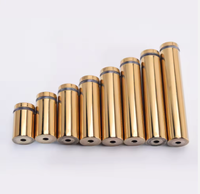 FAST Double Glazing Threaded Stainless Steel Hardened Steel Pins Customizable Length Diameter OEM/ODM Service Acrylic Wall