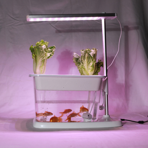 Mini đất nông nghiệp Rau Fish Tank aquaponc hệ thống phát triển đèn nhỏ sinh thái hydroponics thực vật phát triển đèn hệ sinh thái - Product Image 2