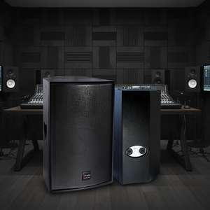 ベストセラー フルレンジ 15インチ ネオジムスピーカー コンサートステージ 教会用ウーファー サブウーファー 重低音 プロ仕様 パッシブスピーカー - Product Image 5