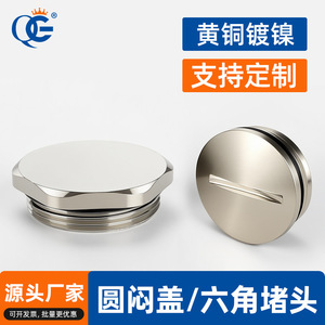 QG Metal Round Slotted End Cap M Pg Brass 10-48mm Valve Plug - Product Image 3