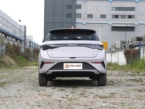 Meilleur Prix 2026 BYD Dolphin 420km Voiture Électrique Intelligente Compacte pour Taxi et Utilisation en Flotte - Product Image 4