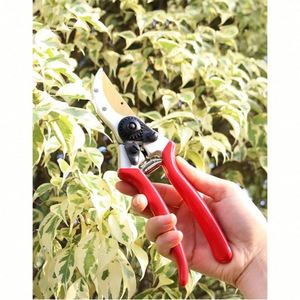 Sécateur de jardinage professionnel pour la taille des branches, des arbustes fruitiers et des plantes, robuste et tranchant, pour usage extérieur - Product Image 1