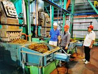 Palmolie Verwerkingsmachine Palmfruit Oliemachine Palm Kernel Olie Persmachine