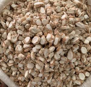 Shan Nai Rizoma Natural Secas Fatias De Raiz Crua Especiaria Rhizoma Kaempferiae Livre De Enxofre - Product Image 6