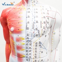 Modelo de Acupuntura Humana de 85CM con Anatomía Muscular de Medio Cuerpo, Modelo de Enseñanza de Puntos de Acupuntura Masculinos para TCM, con Certificaciones CE/ISO/ROHS/CNAS